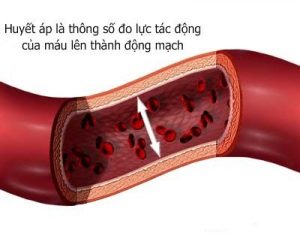 huyet-ap-cao
