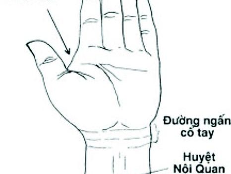 Huyết áp cao: xoa bóp 3 huyệt vị này không lo mất ngủ, khó ngủ Huyết áp cao: xoa bóp 3 huyệt vị này không lo mất ngủ, khó ngủ
