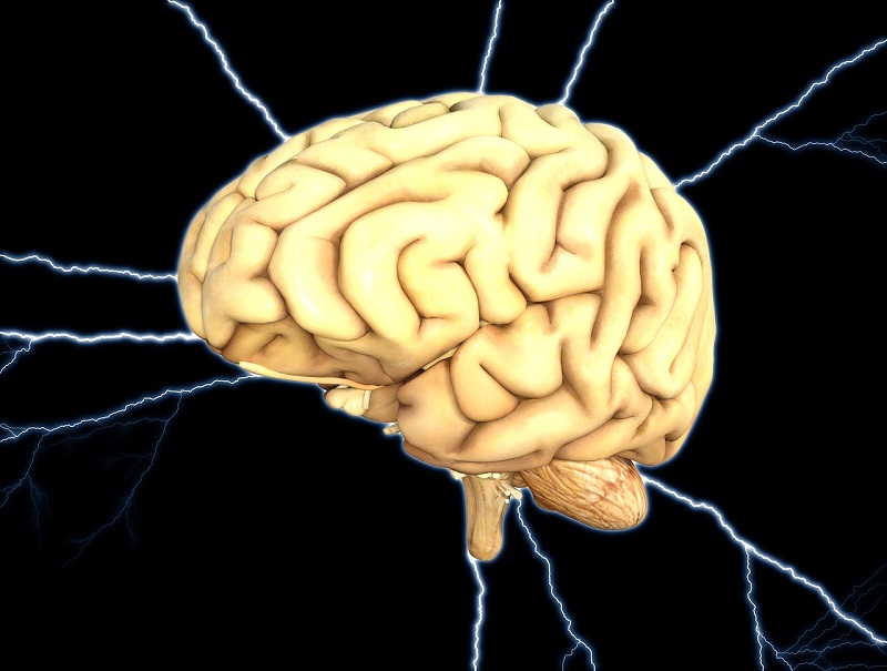 Cảnh báo: 3 điều cần biết về bệnh teo não!