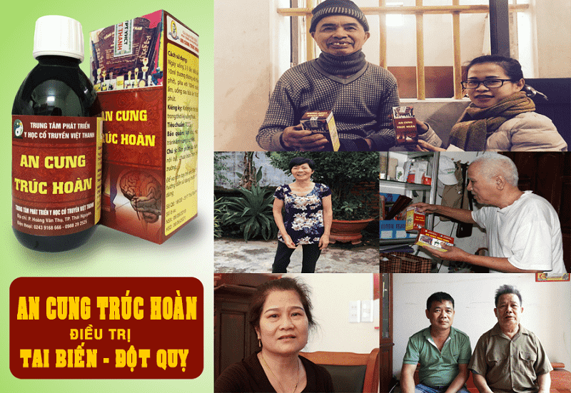 An Cung Trúc Hoàn chứa vị thuốc chữa tai biến hiệu quả
