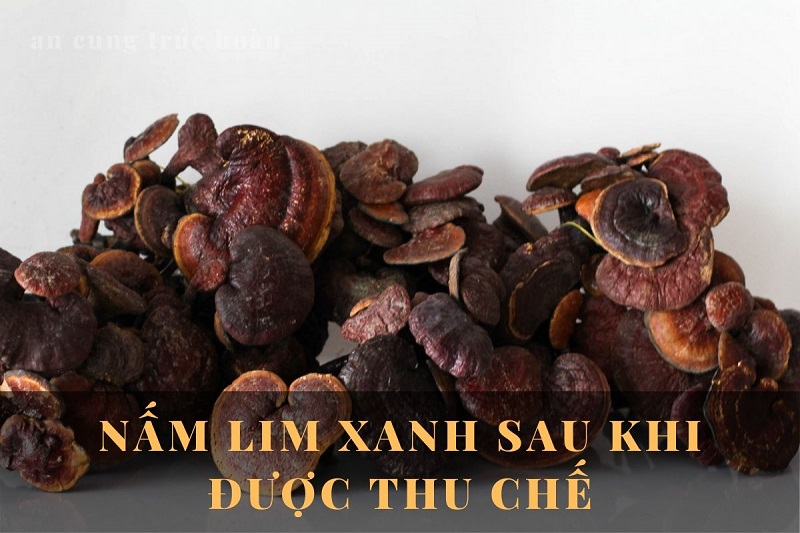 An Cung Trúc Hoàn chứa vị thuốc chữa tai biến hiệu quả