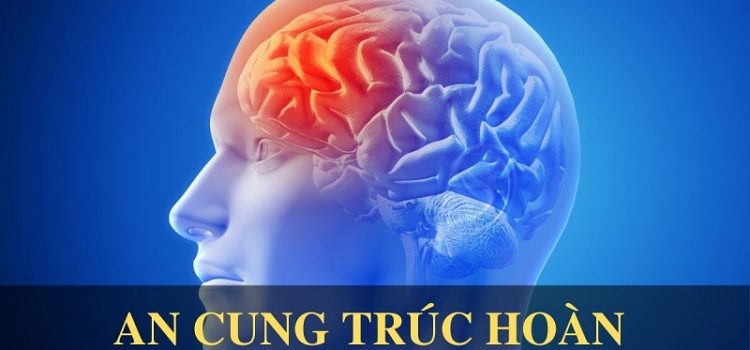 Chữa đột quỵ não bằng bài thuốc gia truyền An Cung Trúc Hoàn Chữa đột quỵ não bằng bài thuốc gia truyền An Cung Trúc Hoàn