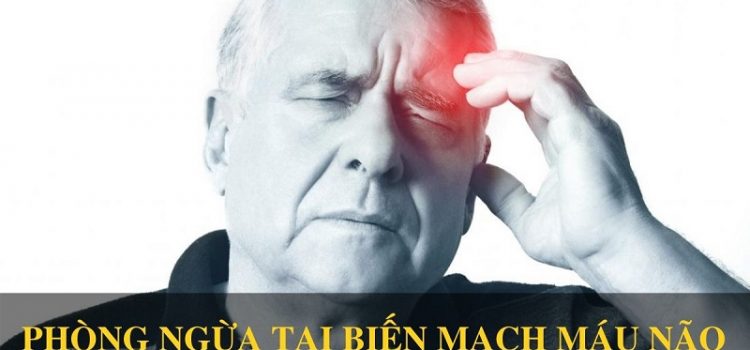 Ngăn ngừa tai biến mạch máu não bằng An Cung Trúc Hoàn Ngăn ngừa tai biến mạch máu não bằng An Cung Trúc Hoàn